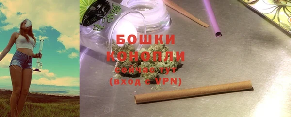прущие грибы Баксан