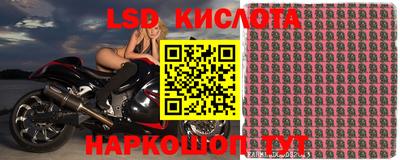 mdma Гатчина