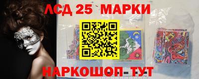 mdma Гатчина