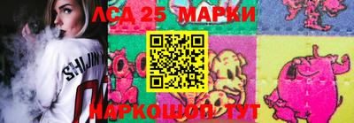 СК Абакан
