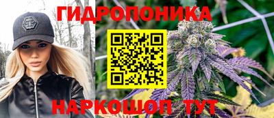 СК Абакан