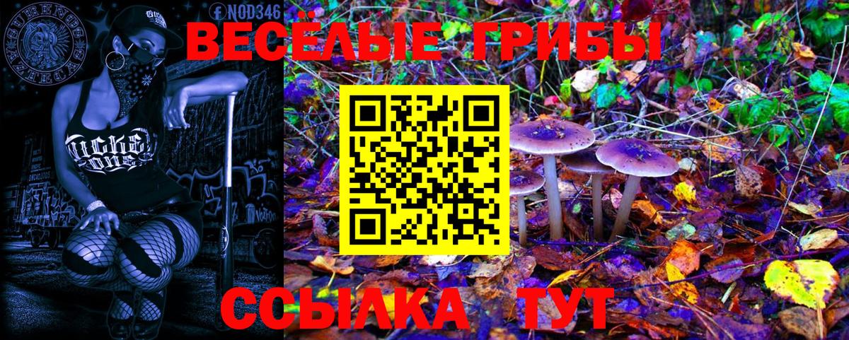 Галлюциногенные грибы ЛСД Анапа