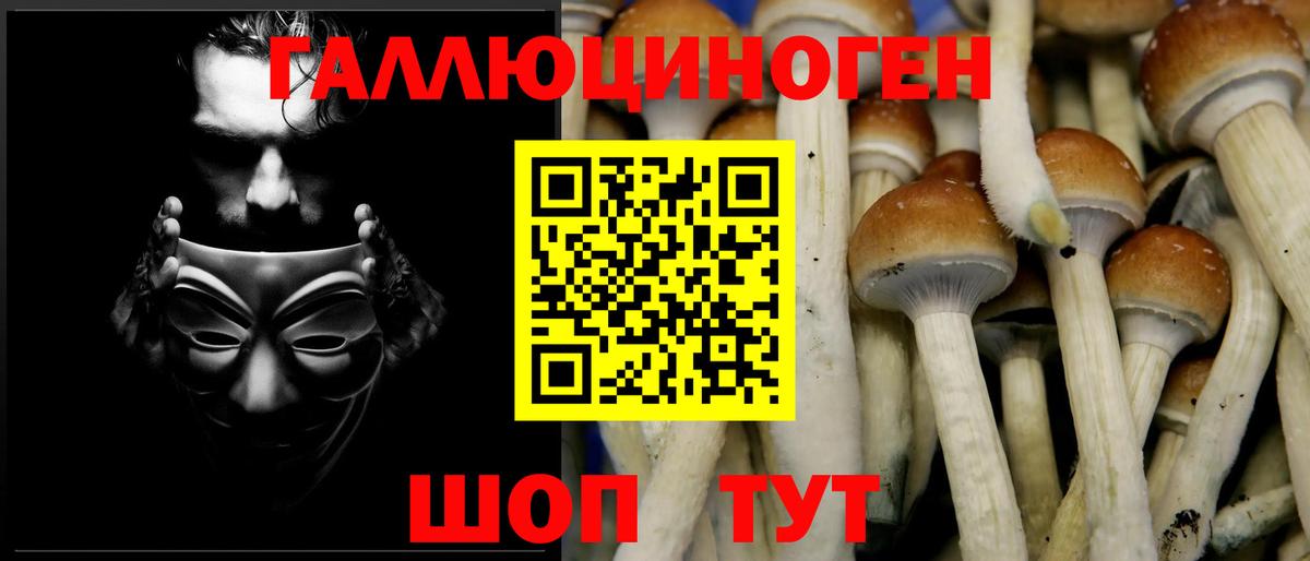 Галлюциногенные грибы Psilocybine cubensis  Вход с VPN  продажа наркотиков  Анапа 