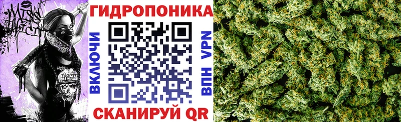 Каннабис Bruce Banner Анапа